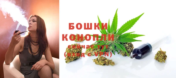 эйфоретик Козельск