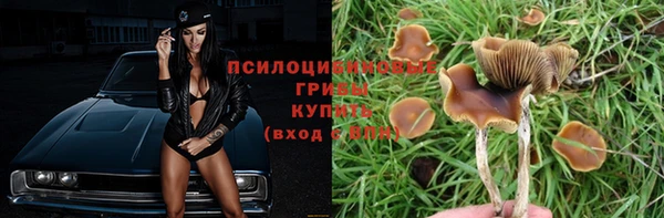 синтетический гашиш Козловка