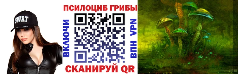 Галлюциногенные грибы Cubensis Полесск