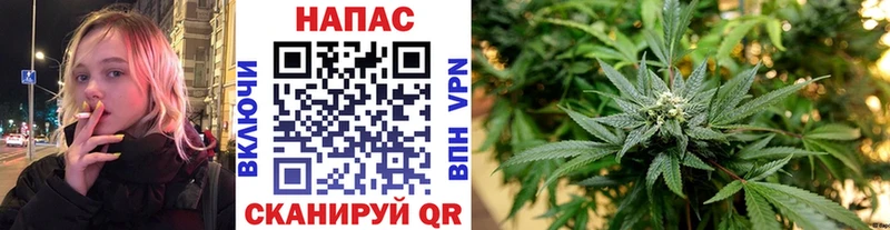 Купить закладки  Полесск  Бошки Шишки Ganja 
